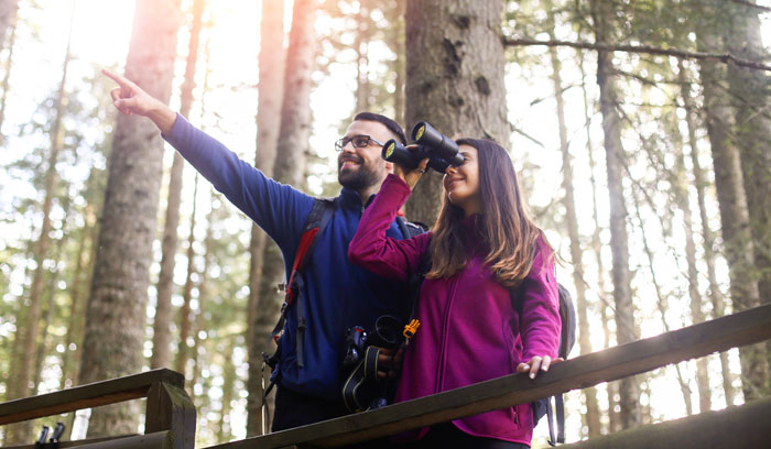 Bird Watching in Kaziranga